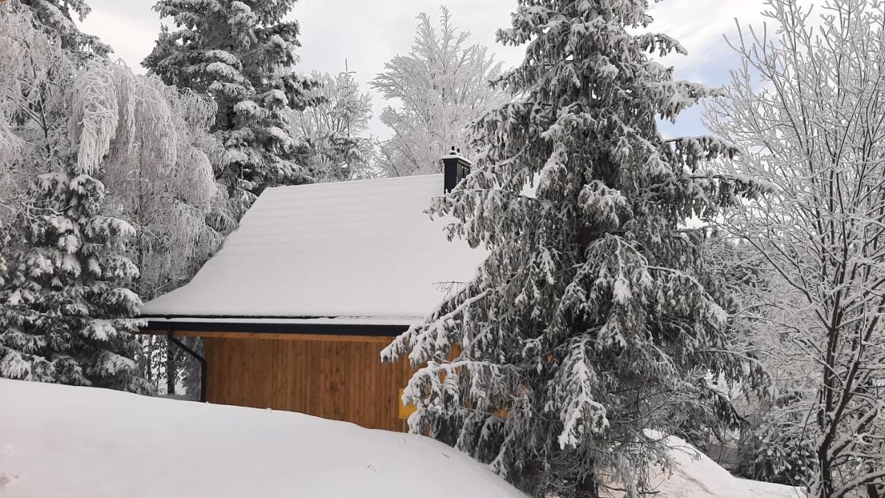 Domki Krynica Villa Esterno foto