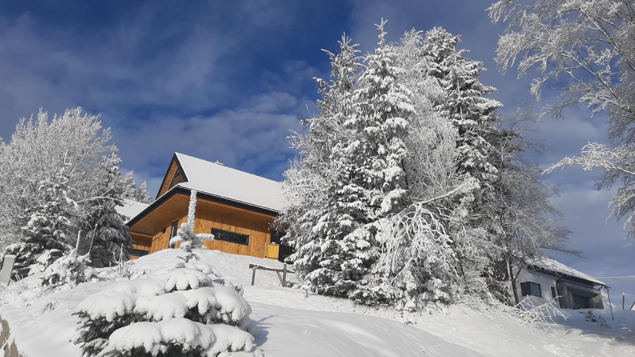 Domki Krynica Villa Esterno foto