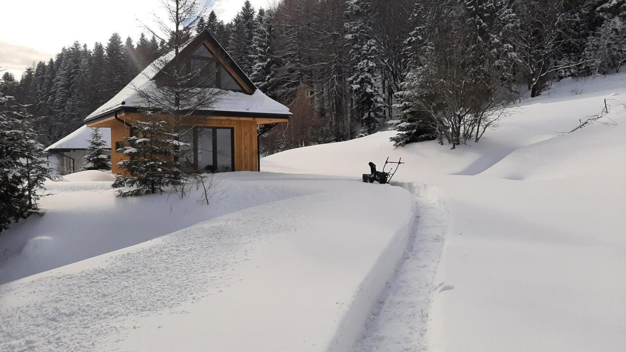 Domki Krynica Villa Esterno foto