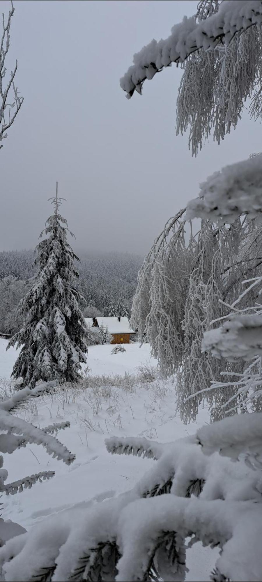 Domki Krynica Villa Esterno foto