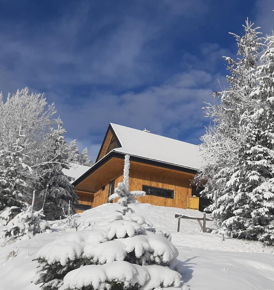 Domki Krynica Villa Esterno foto